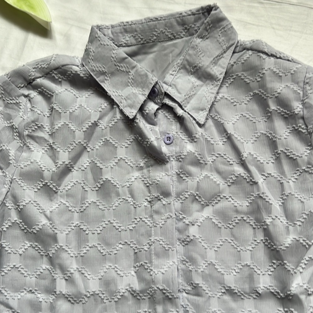 Sheer Long Sleeve Button Down Blouse - Picture 4 of 11